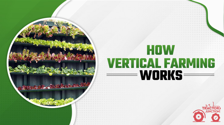 How Vertical Farming Works