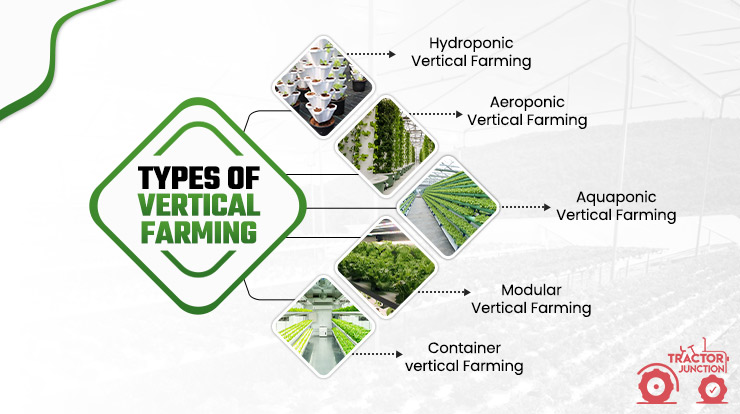 Types of Vertical Farming