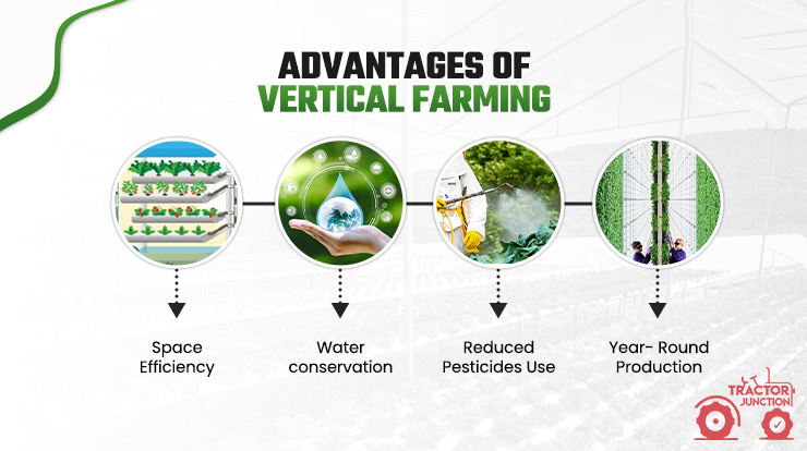 4 Advantages of Vertical Farming