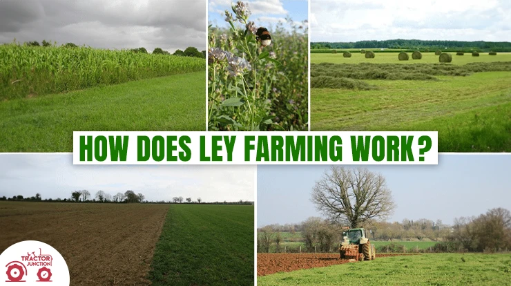 How Does Ley Farming Work?