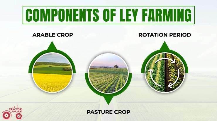 Components Of Ley Farming