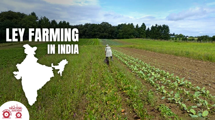 Ley Farming in India