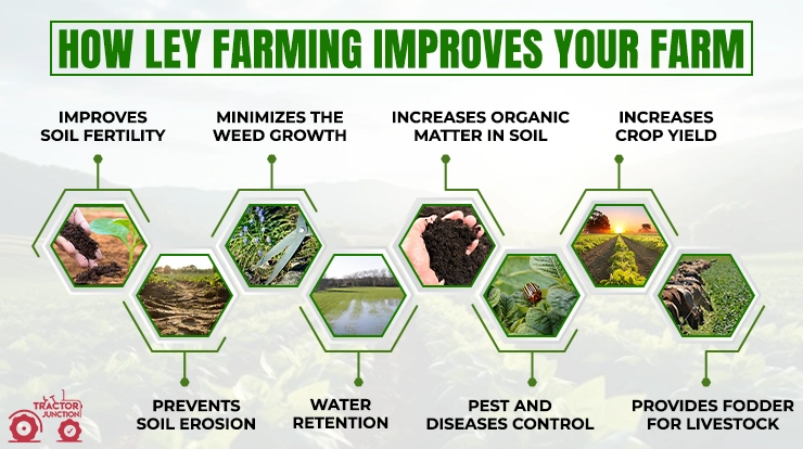 Advantages of Ley Farming