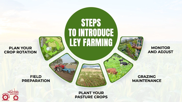 Steps to Introduce Ley Farming