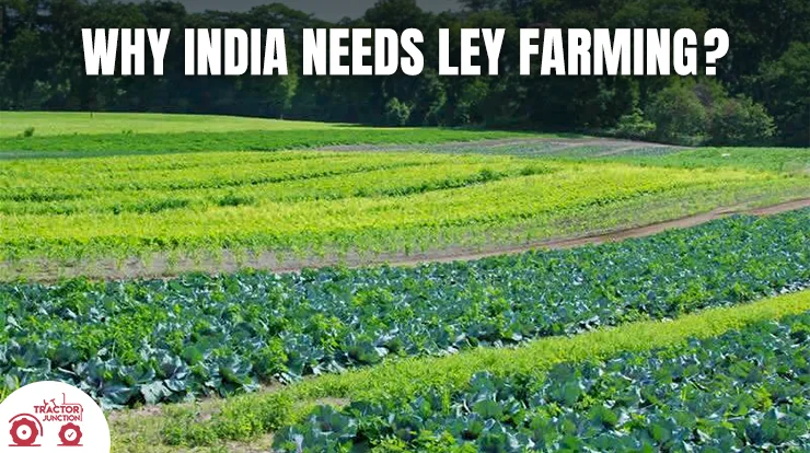 Why India Need Ley Farming?